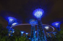 Blue Supertree Grove por la noche, Singapur, Sudeste Asiático - foto de stock