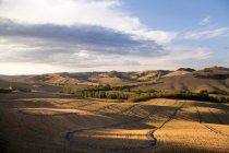 Bellissimo paesaggio con campo e colline panoramiche in Toscana — Foto stock