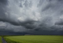 Orage sur les champs de maïs et d'herbe, Oosterhout, Brabant-Septentrional, Pays-Bas — Photo de stock