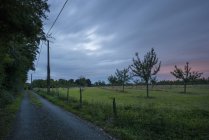 Campo ao amanhecer, Saint-Maclou, Alta Normandia, França — Fotografia de Stock