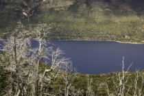 Paesaggio della valle con lago e alberi spogli, Parco Nazionale Nahuel Huapi, Rio Negro, Argentina — Foto stock