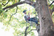 Junge männliche Auszubildende Baumchirurg klettert auf Baumstamm — Stockfoto