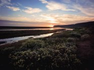 Sunset over river and field of flowers — Stock Photo