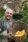 Зрелый мужчина с корзиной лимонов — стоковое фото