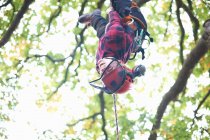 Trainee teenage male tree surgeon hanging upside down from tree branch — Stock Photo