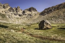 Landscape with boulder in mountain valley, Nahuel Huapi National Park, Rio Negro, Argentina — Stock Photo