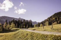 Landschaft mit Feldweg und Wald, Bayern, Deutschland — Stockfoto