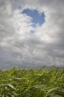 Um buraco nas nuvens no distrito do lago frísio, Sneek, Frísia, Países Baixos — Fotografia de Stock