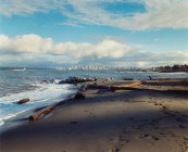 Vista de Vancouver desde la playa sureste - foto de stock