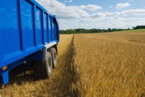 Traktorernte im Weizenfeld, Vereinigtes Königreich — Stockfoto