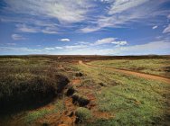 Vue panoramique de la route de terre dans le paysage rural — Photo de stock