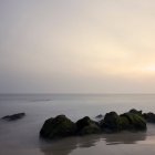 Rochers dans la mer calme au beau lever du soleil brumeux — Photo de stock