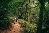 Жінка і сини в лісі, Фейрфакс, Каліфорнія, США, Північна Америка — стокове фото