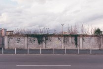 Graffiti on wall beside deserted road — Stock Photo