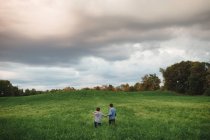 Irmãos caminhando no campo gramado verde — Fotografia de Stock