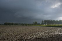 Pioggia sui campi delle Fiandre, Oostkamp, Fiandre Occidentali, Belgio — Foto stock