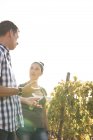Винодельческая пара разговаривает в винограднике, Лас-Пальмас, Гран-Канария, Испания — стоковое фото