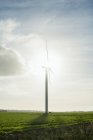 Windkraftanlagen frühmorgens, rilland, zeeland, niederland, europa — Stockfoto