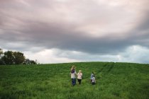 Семья из пяти человек наслаждается природой на зеленом травянистом поле — стоковое фото