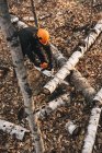 Vista de alto ângulo do homem motosserrar tronco de árvore na floresta de outono — Fotografia de Stock