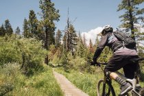 Man cycling on path through forest, Mammoth Lakes, California, USA, North America — Stock Photo