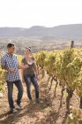 Couple vigneron discutant dans le vignoble, Las Palmas, Gran Canaria, Espagne — Photo de stock