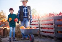 Фермер і онук на гарбузовій фермі — стокове фото