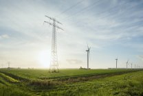 Ветряные турбины ранним утром, Рилланд, Зеландия, Нидерланды, Европа — стоковое фото
