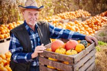 Farmer with pumpkin harvest — Stock Photo
