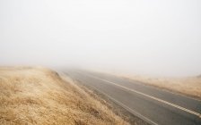 Empty niebla carretera, Fairfax, California, Estados Unidos, América del Norte - foto de stock