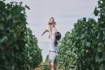 Woman holding up baby daughter in vineyard — Stock Photo
