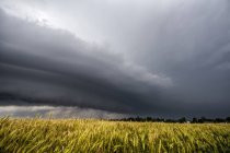 Tormenta supercelular en capas sobre y alrededor de campos de trigo, Fairview, Oklahoma, EE.UU. - foto de stock