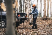 Мужской лесоруб надевает защитные перчатки в осеннем лесу — стоковое фото