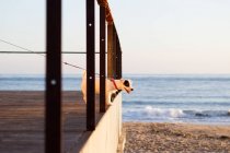 Russell Jack al guinzaglio in spiaggia guardando altrove, Lisbona, Portogallo, Europa — Foto stock
