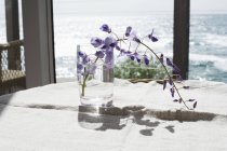 Fleurs coupées dans un verre d'eau — Photo de stock