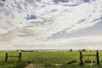 Brillante paesaggio nuvoloso sul paesaggio rurale pianeggiante, Montana, Stati Uniti — Foto stock