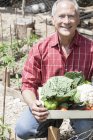 Homem sênior com caixa de legumes caseiros — Fotografia de Stock