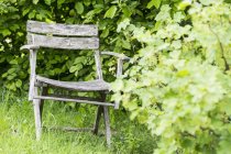 Cadeira de jardim dilapidado velho — Fotografia de Stock