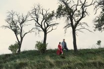 Pregnant couple hand in hand on hillside — Stock Photo