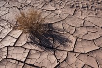 Patrón natural agrietado en el desierto atacama, antofagasta, chile - foto de stock