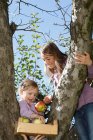 Two young girls picking apples from tree — Stock Photo