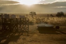 Tarangire-Nationalpark, Tansania — Stockfoto