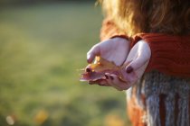 Vista cortada da mulher segurando folha de outono em mãos — Fotografia de Stock