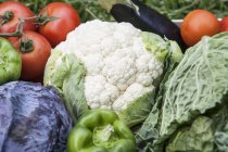 Variedade de legumes caseiros, quadro completo — Fotografia de Stock
