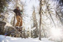 Low angle view of skier in skis balancing on tree — Stock Photo
