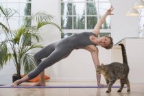 Жінка вдома робить йогу і кішку цікаво поблизу — стокове фото