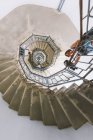 Low angle portrait of three young adult friends looking down from spiral staircase, Como, Lombardy, Italy — Stock Photo