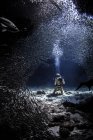 Vue sous-marine du plongeur photographiant la vie marine — Photo de stock
