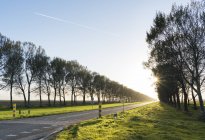 Route rurale bordée d'arbres, Zeewolde, Flevoland, Pays-Bas, Europe — Photo de stock