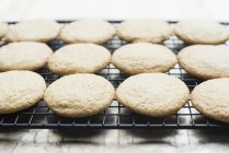 White chocolate chip cookies cooling on rack — Stock Photo
